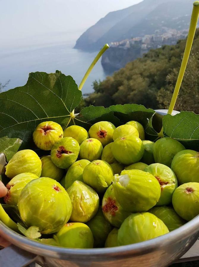 Casa Paola Villa Vico Equense Dış mekan fotoğraf